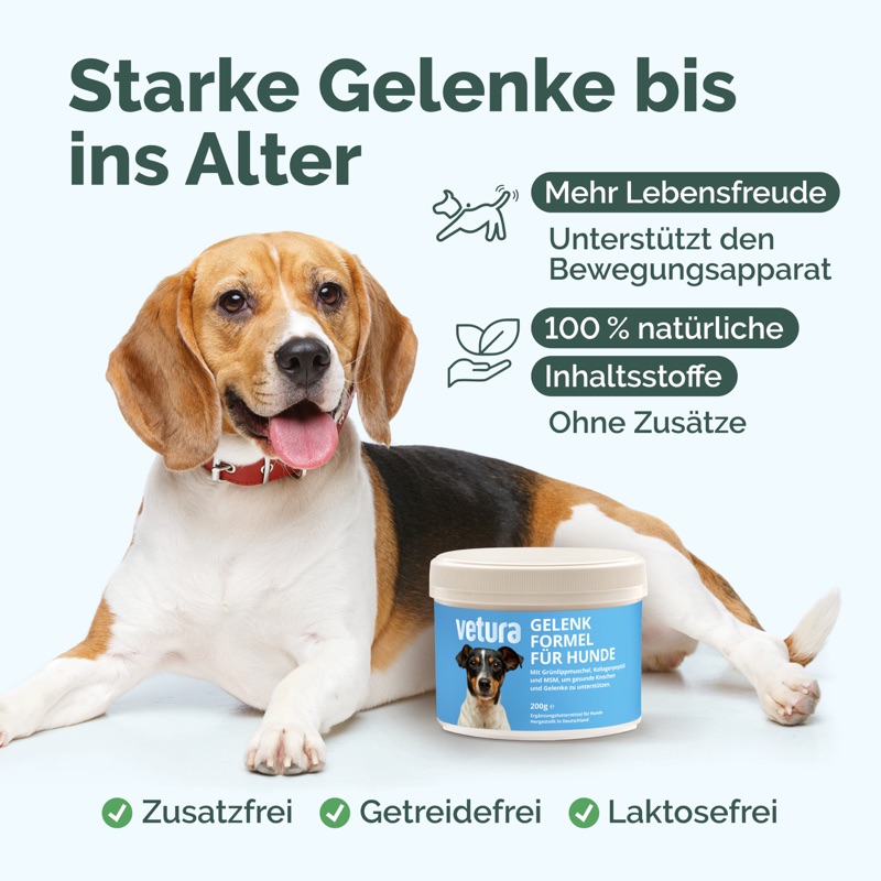 Vetura Gelenk-Formel: unterstützt den Bewegungsapparat, 100 % natürliche Inhaltsstoffe